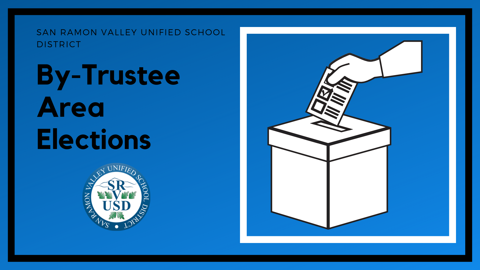 by trustee area elections